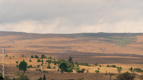 South African Countryside landscape