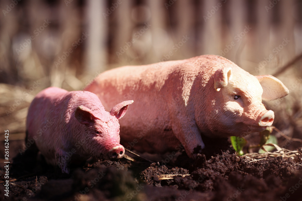 toy pig in wildlife photographed toy outdoors in the mud like a live pig toy pig in wildlife photographed toy outdoors in the mud like a live pig