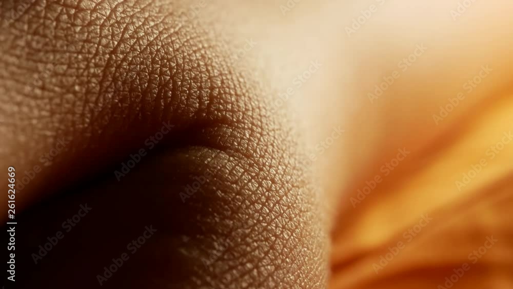 Extreme macro of skin texture on hand around thumb, high contrast backlight, tilt up, hairless skin of asian female in mid 20's Extreme macro of skin texture on hand around thumb, high contrast backlight, tilt up, hairless skin of asian female in mid 20's