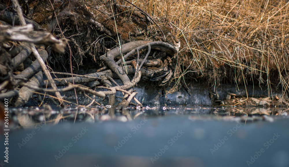 the river is frozen and the shore the river is frozen and the shore