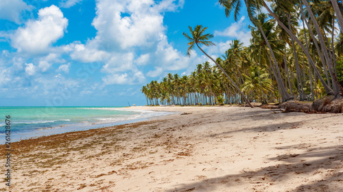 Beach Paradise (Carneiros - Brasil)