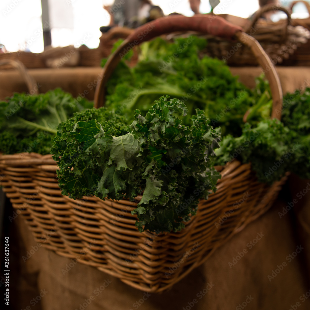 Fototapeta premium Fresh veg in a basket