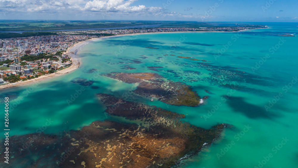 Obraz premium Mar Azul, Corais