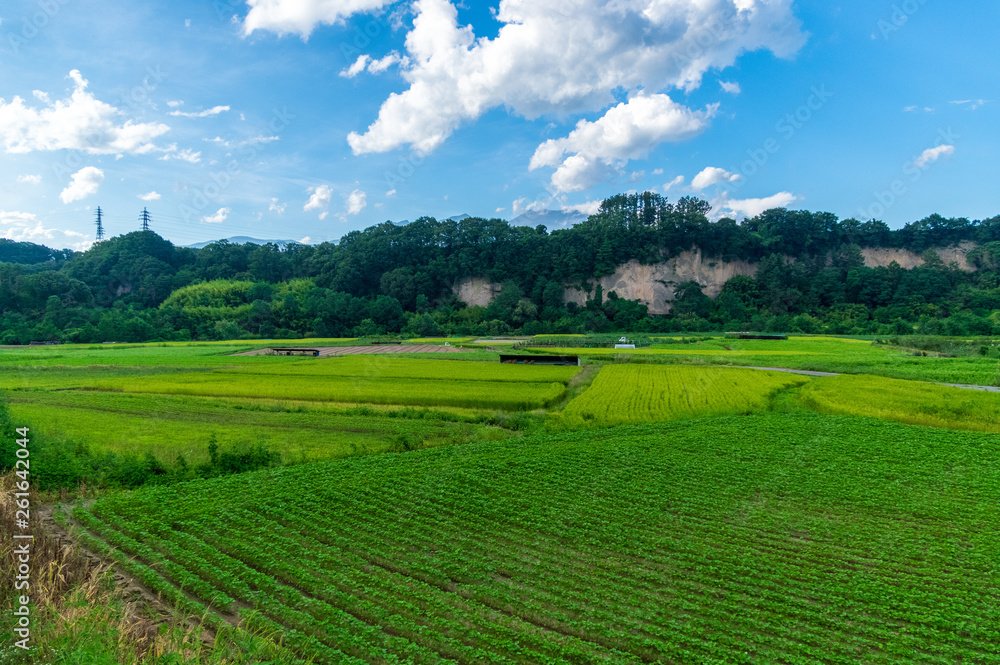 Fototapeta premium 暑かった夏の終わり