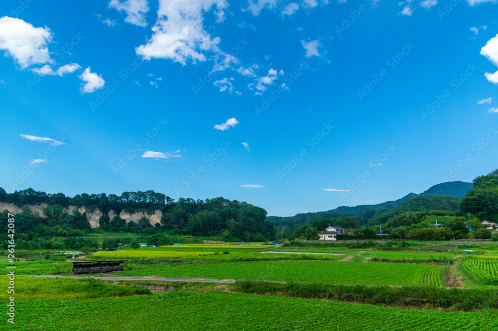 Naklejka premium 暑かった夏の終わり