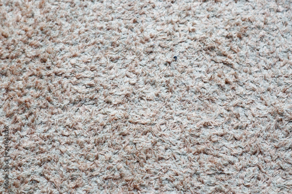 Texture of Carpet Rug Texture of Carpet Rug