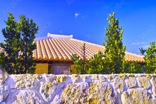 朝日を浴びて輝く沖縄の住居