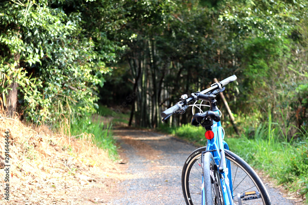 平凡な田舎の道をクロスバイクで探索