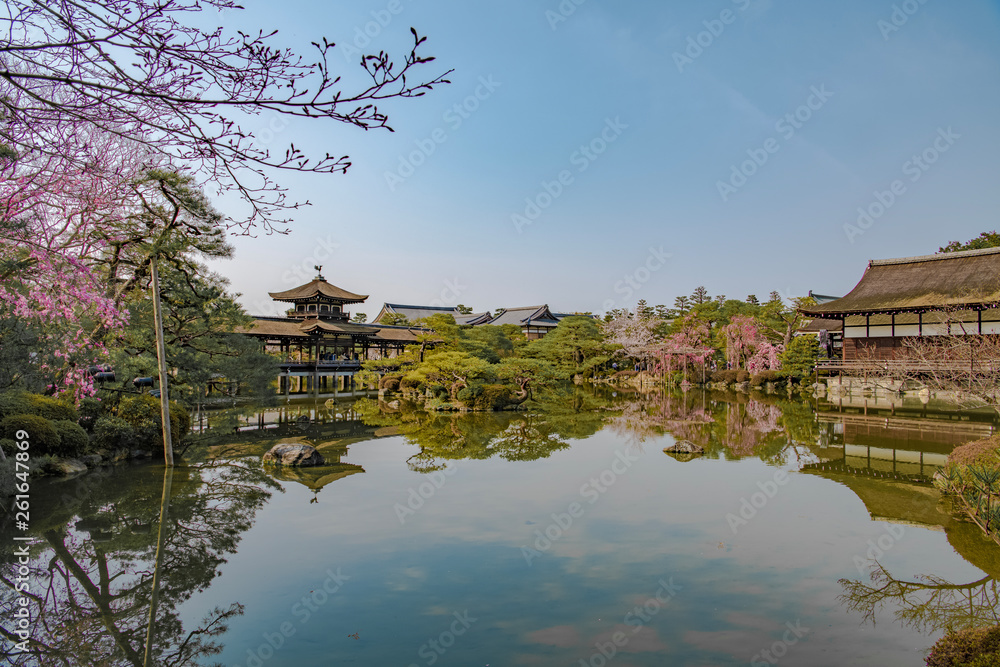 平安神宮の桜