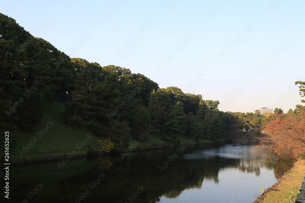 lake in the forest