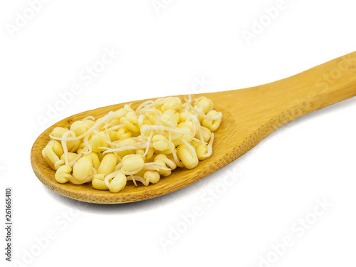 Mung bean sprouts in wooden spoon isolated on white background.