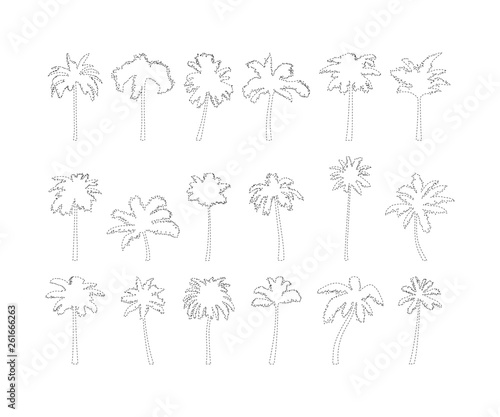Coconut tree tracing lines, vector illustration.