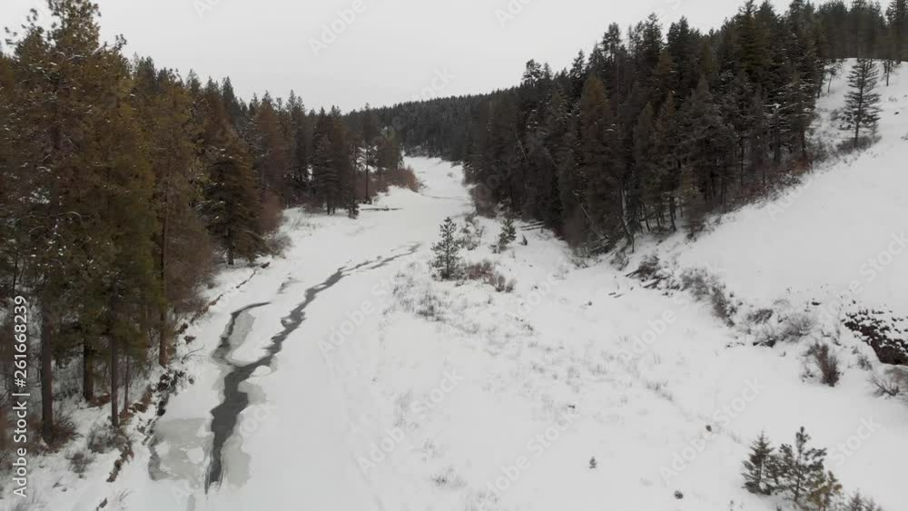 Drone Aerial of Frozen River Covered With Snow in Winter Between Evegreen Forests in Palouse Region Washington State USA Drone Aerial of Frozen River Covered With Snow in Winter Between Evegreen Forests in Palouse Region Washington State USA
