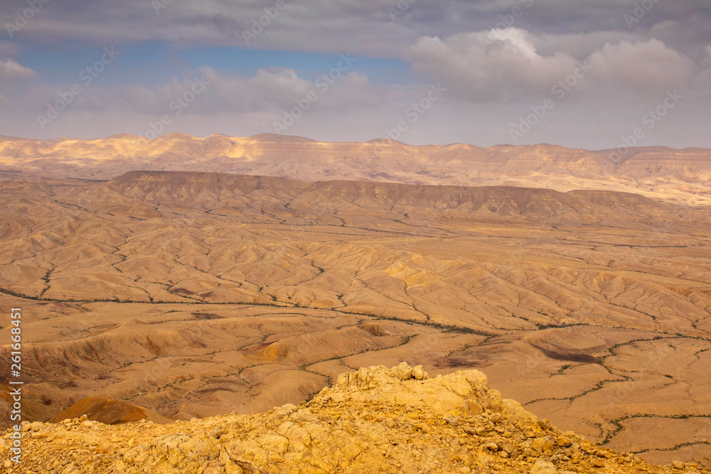 Naklejka premium Negev Desert, Israel