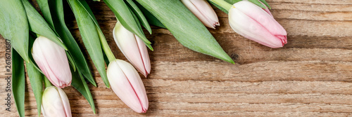 Beautiful pink and white tulips on wooden background