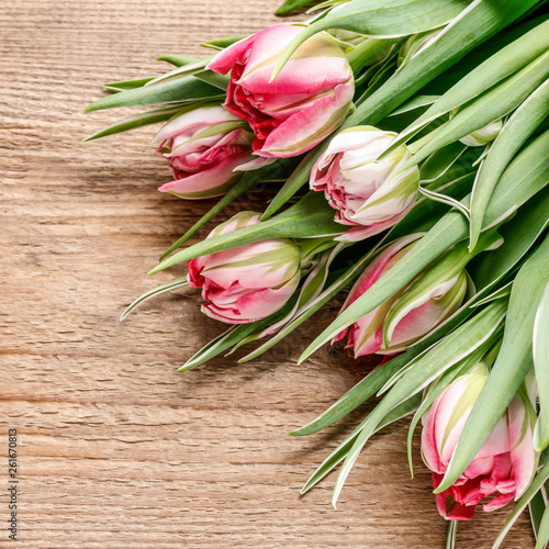 Beautiful pink and white tulips on wooden background