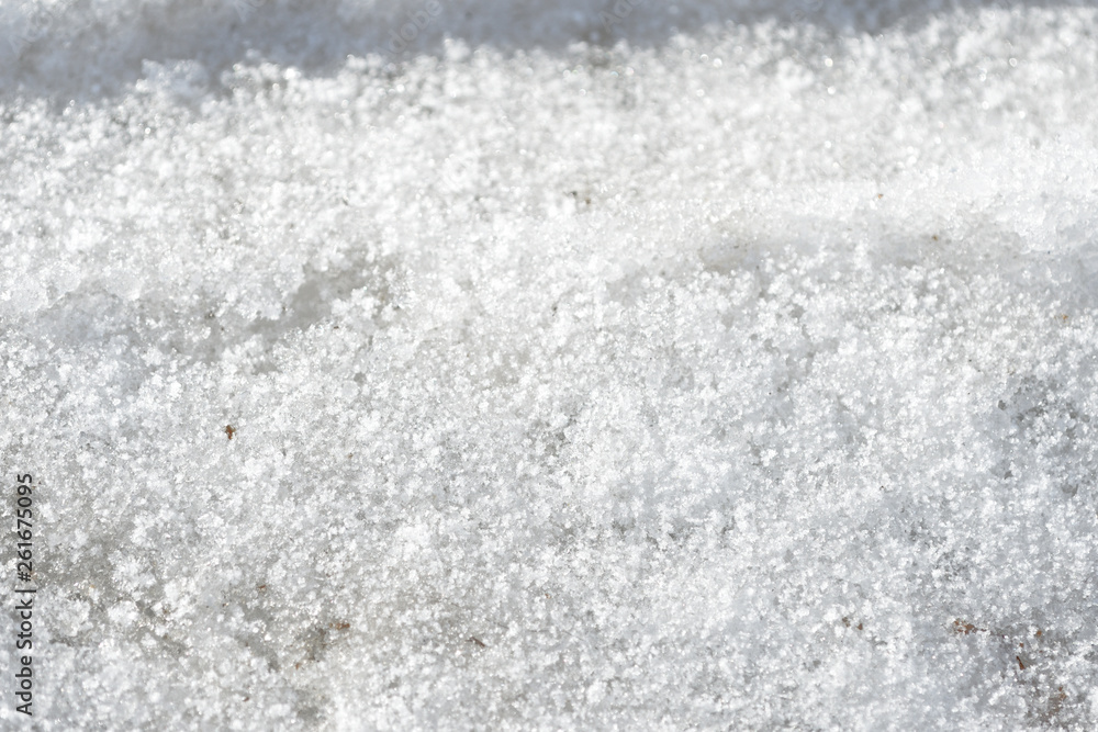 Obraz premium Early spring snow background and texture close up