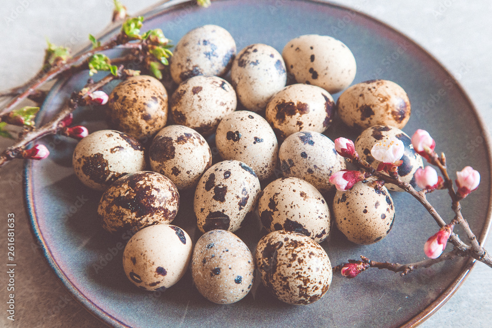natural organic fresh quail eggs. Protein diet. natural organic fresh quail eggs. Protein diet.