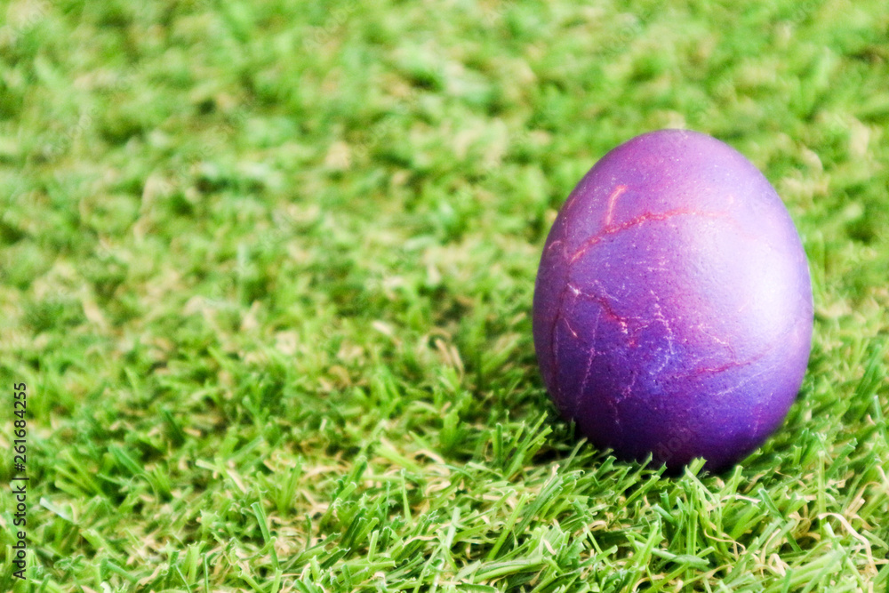 Purple easter egg in the green grass closeup Purple easter egg in the green grass closeup