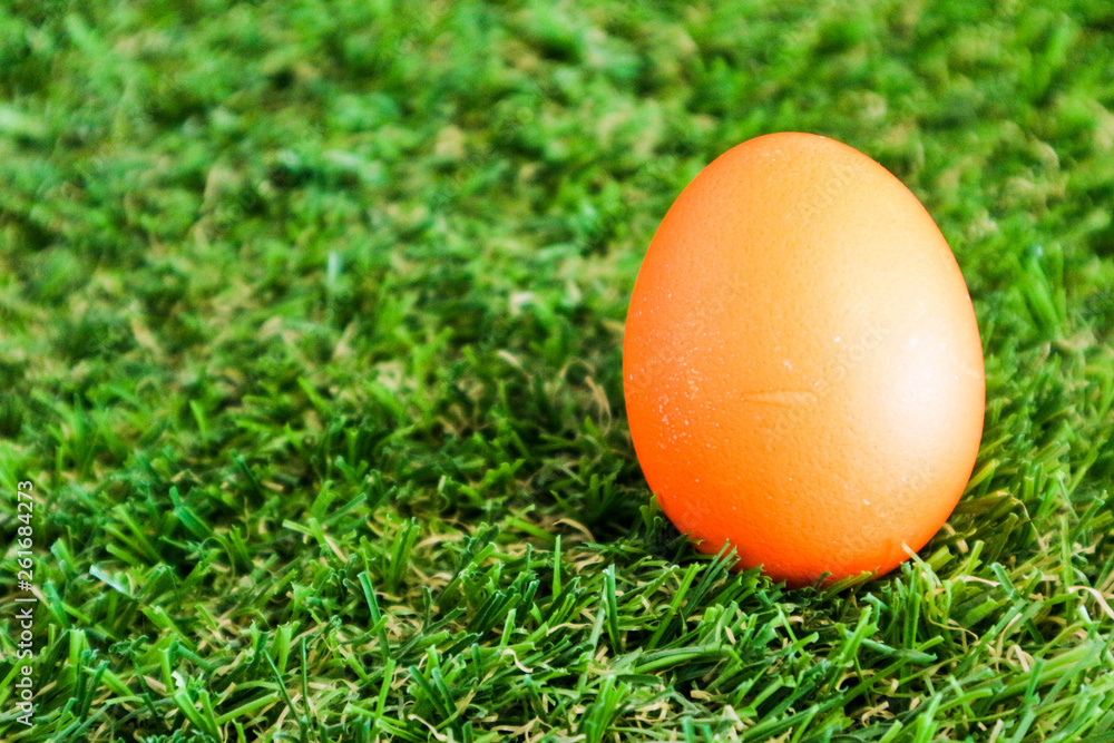 Yellow easter egg in the green grass closeup Yellow easter egg in the green grass closeup