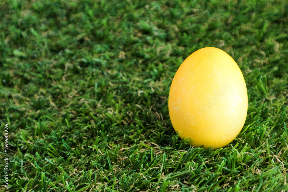 Yellow easter egg in the green grass closeup