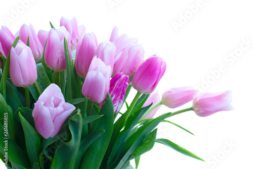 Bouquet of tulips flowers © neirfy