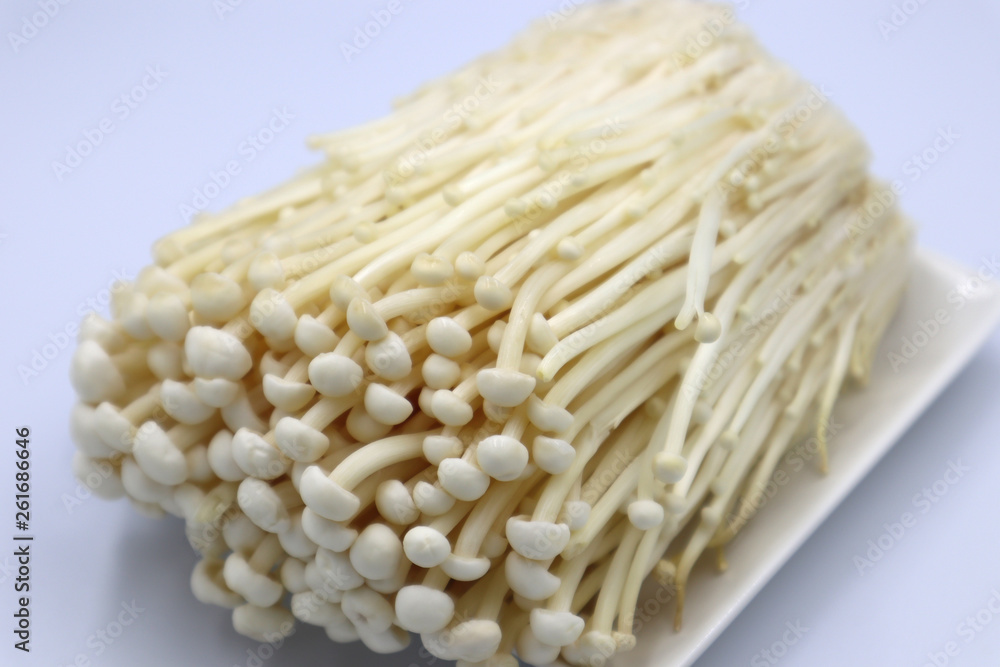 えのき茸のブツ撮り えのき茸のブツ撮り