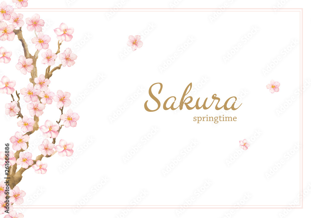 Vector Hand painted card with sakura flowers and branches. Watercolor illustration isolated on white background.