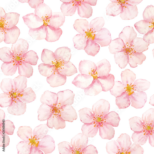 Vector watercolor sakura flowers pattern on white background. Collection sakura flowers.
