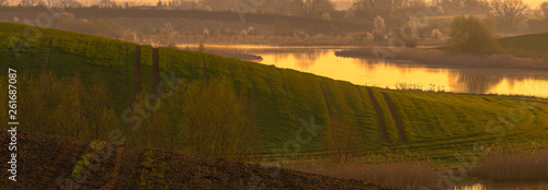 green spring field by the lake, in the background white trees blooming