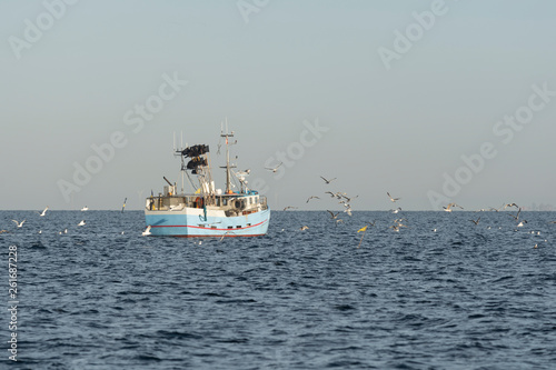 Fishing boat surrounded by seagulls