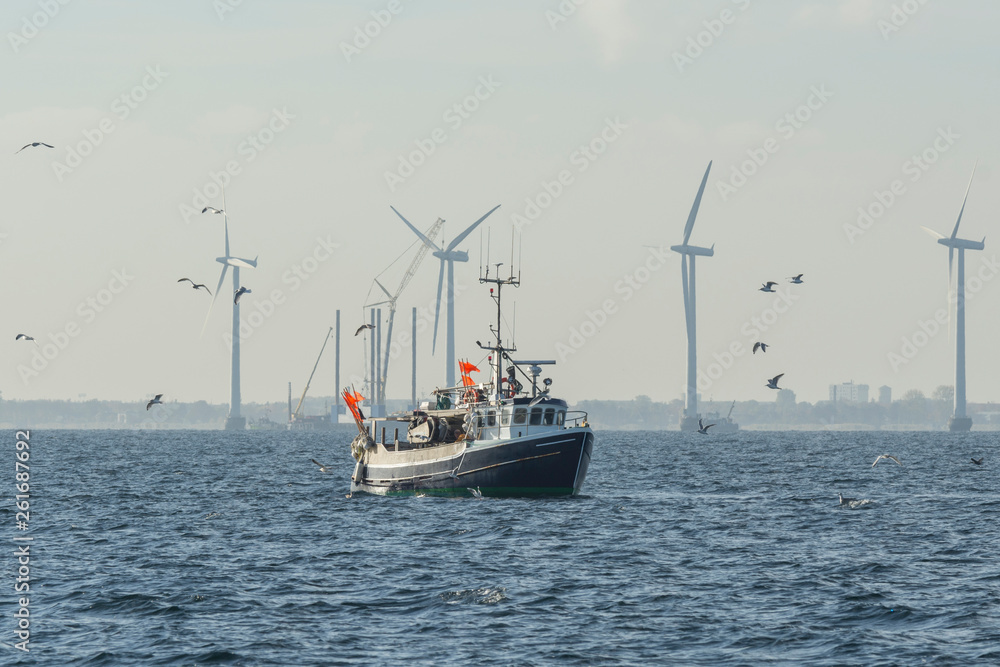 Fishing boat surrounded by seagulls