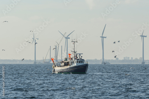 Fishing boat surrounded by seagulls