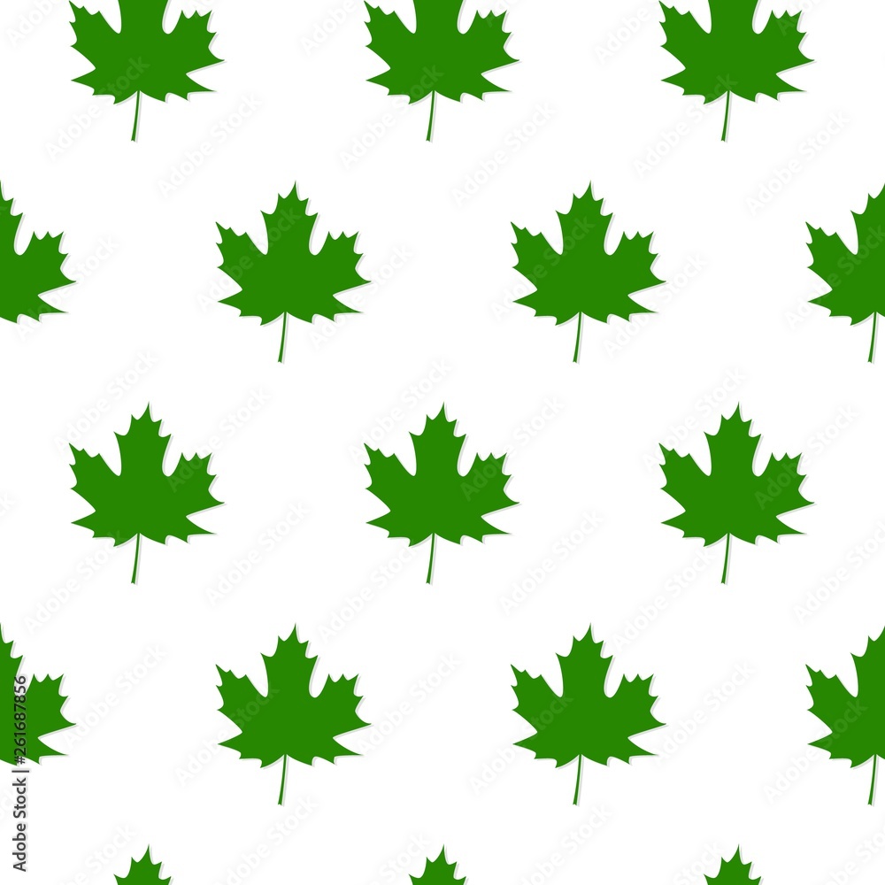Autumn Set of Green Maple Leaves on White Background, Autumn Set of Green Maple Leaves on White Background,
