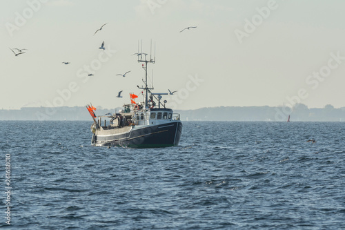 Fishing boat surrounded by seagulls © Tomasz Kozal