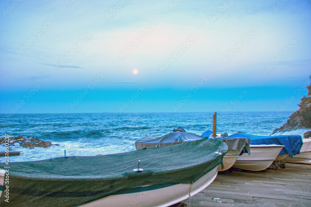 Obraz premium Boats at the moonlight