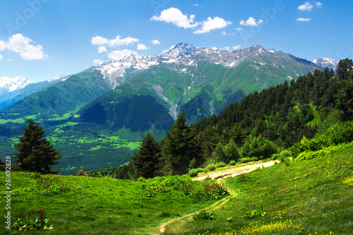 Svaneti mountains, Georgia. Caucasus georgian landscape. Green mountain valley.
