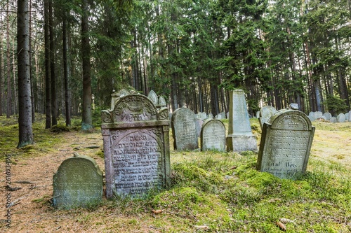 Obraz na płótnie Pansky Vrch, Czech Republic / Europe - April 1 2019: Grey tombstones with Hebrew letters on an old Jewish cemetery placed in the woods close to Drmoul, surrounded with trees, green grass w salonie