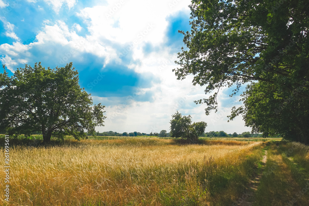 Fototapeta premium Naturspaziergang