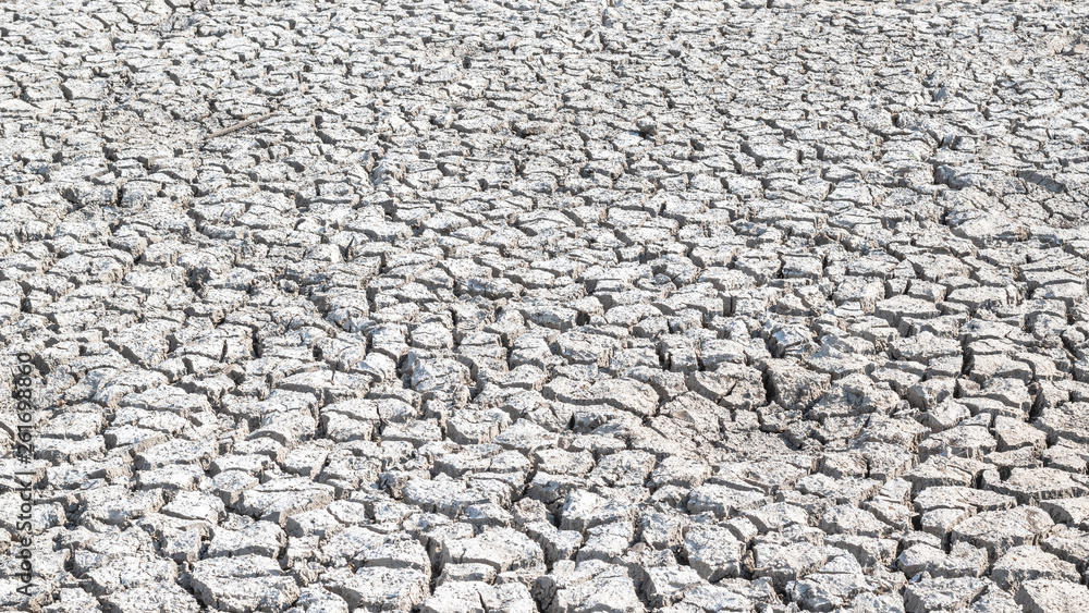 Drought and desertification of dry waterless land, cracked mud, arid ground soil for environmental catastrophe awareness background Drought and desertification of dry waterless land, cracked mud, arid ground soil for environmental catastrophe awareness background