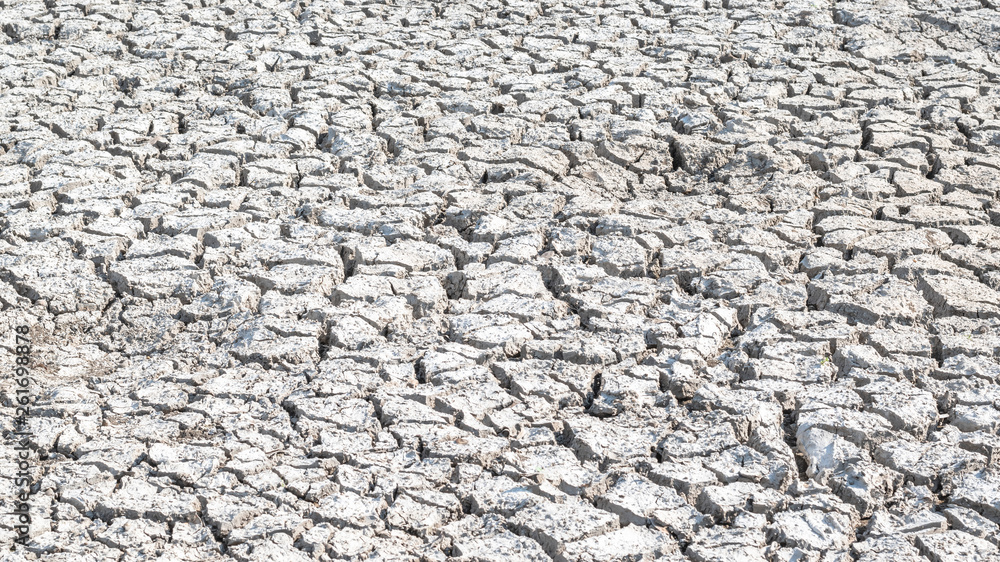 Drought and desertification of dry waterless land, cracked mud, arid ground soil for environmental catastrophe awareness background Drought and desertification of dry waterless land, cracked mud, arid ground soil for environmental catastrophe awareness background