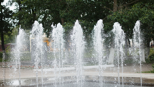 the fountain, a jet of water on a background of green trees