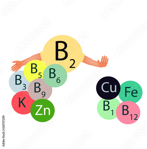 Vitamin B2 compatibility with other vitamins and minerals. Infographics. Vector illustration on isolated background.