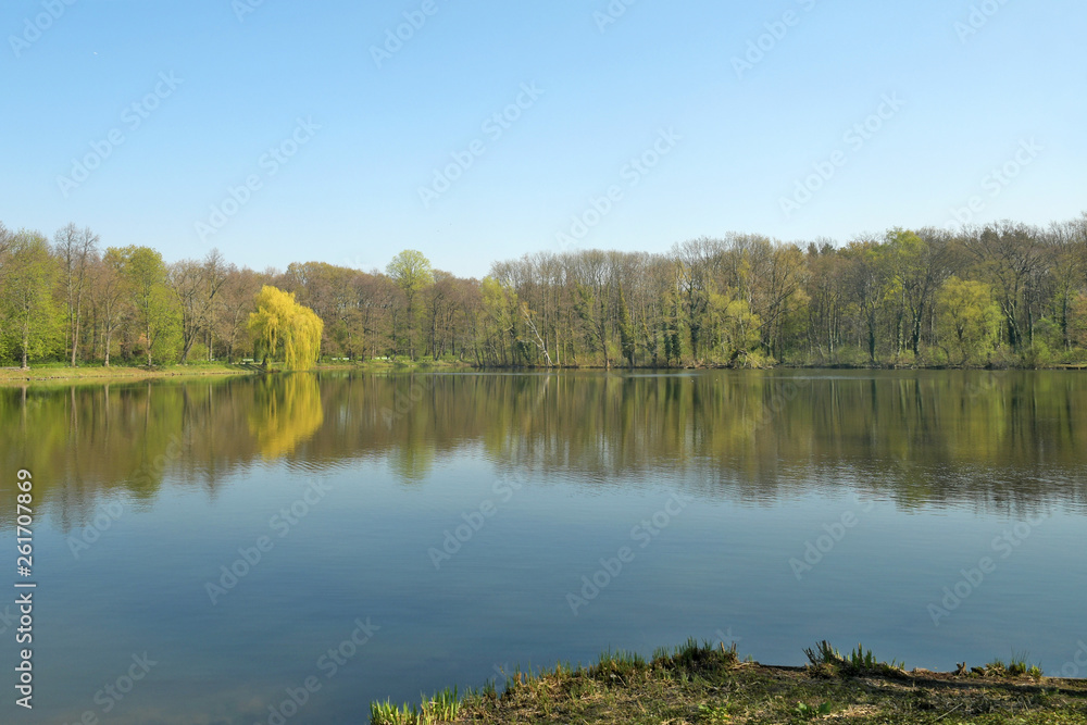 Fototapeta premium jungfernheidesee
