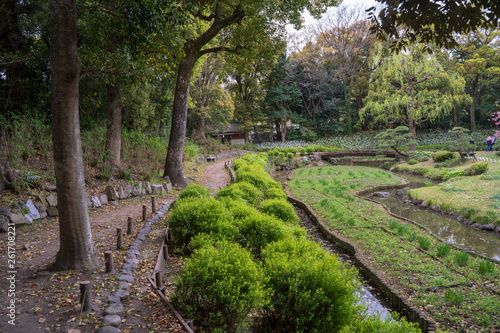 KIYOSUMI TEIEN garden in TOKYO,JAPAN. Spring photo