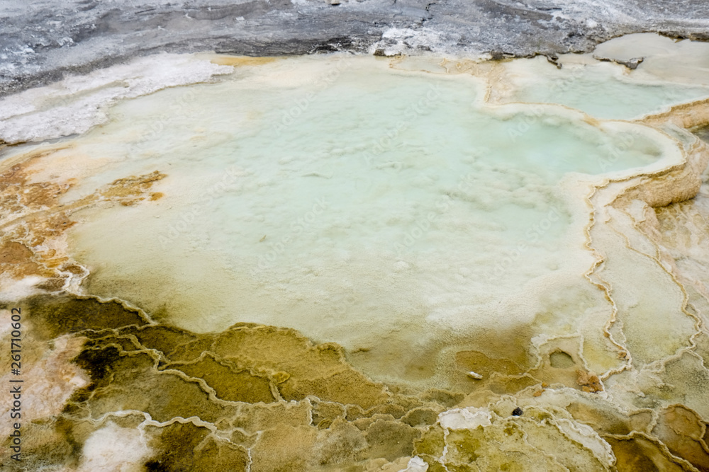 custom made wallpaper toronto digitaltexture of crystal clear water with stone in the united state