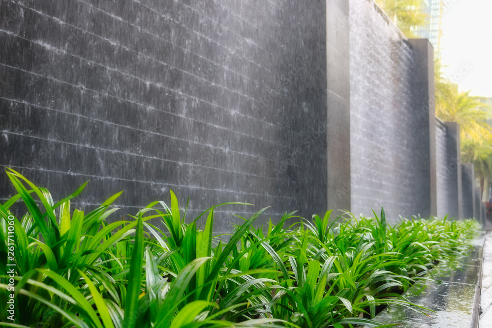 Dieses einzigartige Bild zeigt schöne Grünpflanzen vor einer Wasserwand mit Steinen. Dieses Foto wurde in Bangkok Thailand aufgenommen