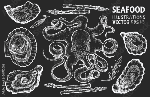 Seafood and vegetables vector set. Vintage hand drawn illustrations on chalk board. Can be use for restaurants menu, cover, packaging. Retro background.