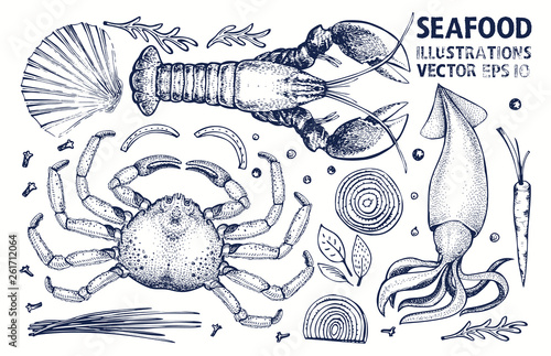 Seafood and spices vector set. Vintage hand drawn illustrations. Can be use for restaurants menu, cover, packaging. Retro background.