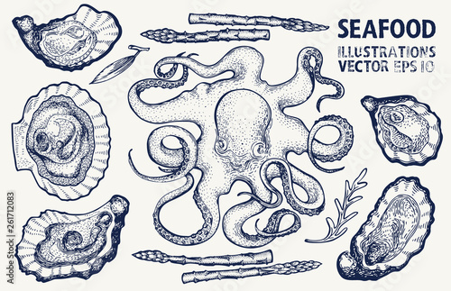 Seafood and vegetables vector set. Vintage hand drawn illustrations. Can be use for restaurants menu, cover, packaging. Retro background.